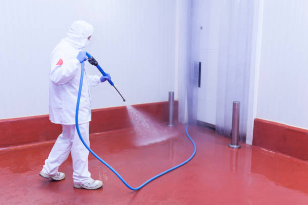 Best Fleet Vehicle Washing  in Pasatiempo, CA